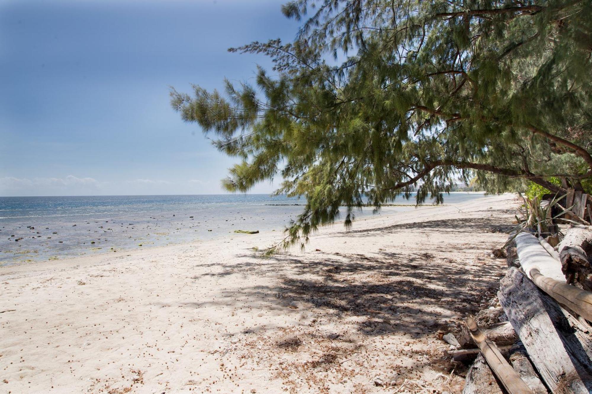 Cemara Beachfront Suite Mondu Εξωτερικό φωτογραφία